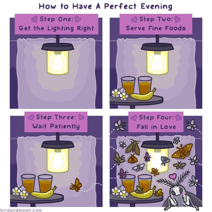 How to Have a Perfect Evening
