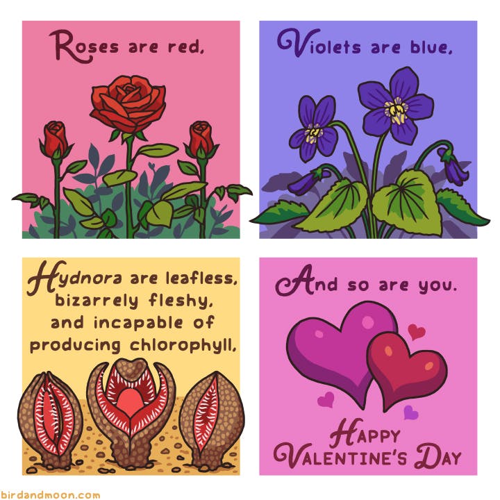 Botany Valentine