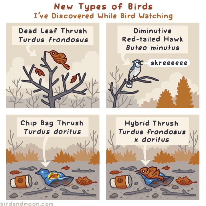 New Types of Birds